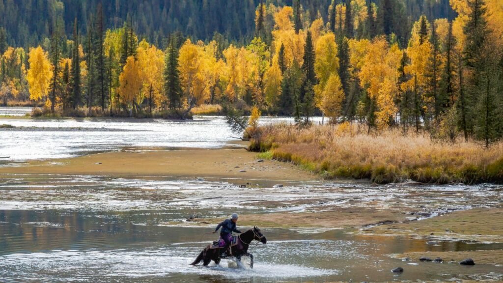 Autumn city views during Ulaanbaatar city tour