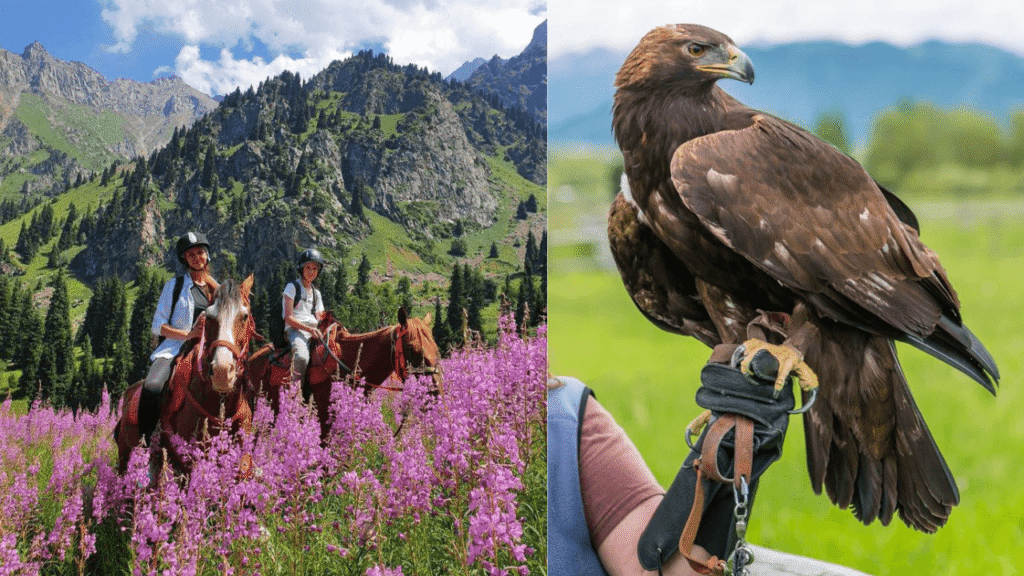 Half-day and full-day Ulaanbaatar city tour difference