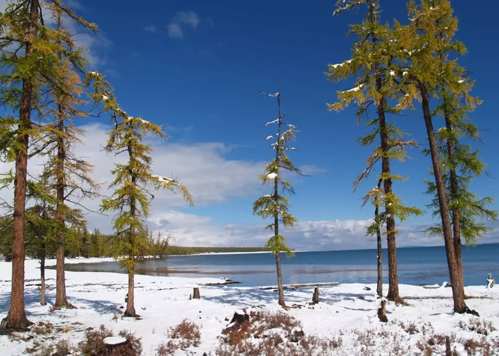 Khuvsgul Lake Mongolia winter